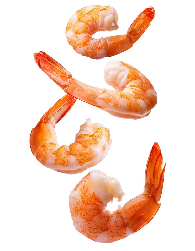 shutterstock_2593903309